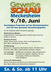 Gewerbeschau Meckesheim, SFZ Marktplatzfest, TVüberregional, Onlinezeitung, Videoproduktion, Meckesheim, Oliver Döll,