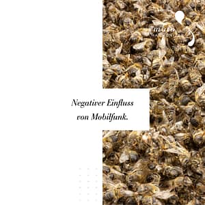 Mobilfunk Insekten Symbio-Harmonizer